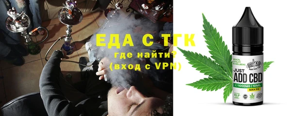 индика Яранск