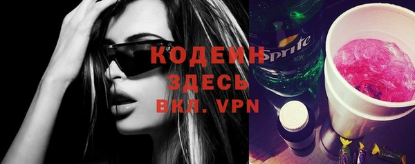 индика Яранск