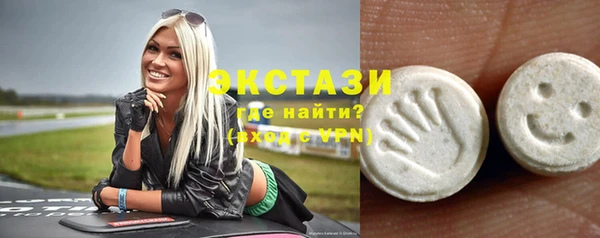 индика Яранск