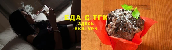 индика Яранск