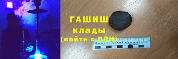 индика Яранск