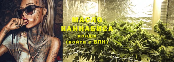 индика Яранск