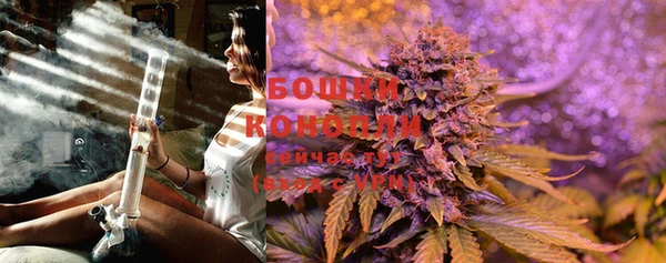 индика Яранск