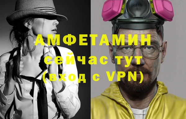 индика Яранск