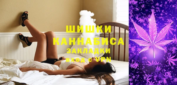 индика Яранск