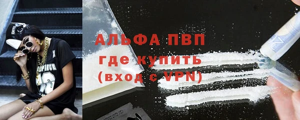 индика Яранск