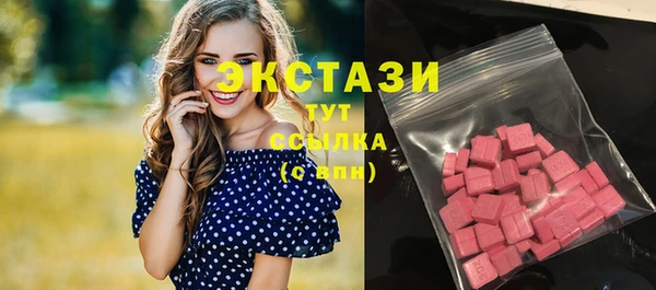 индика Яранск