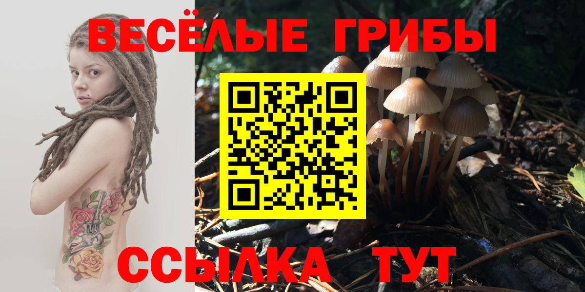 Псилоцибиновые грибы Magic Shrooms Абакан