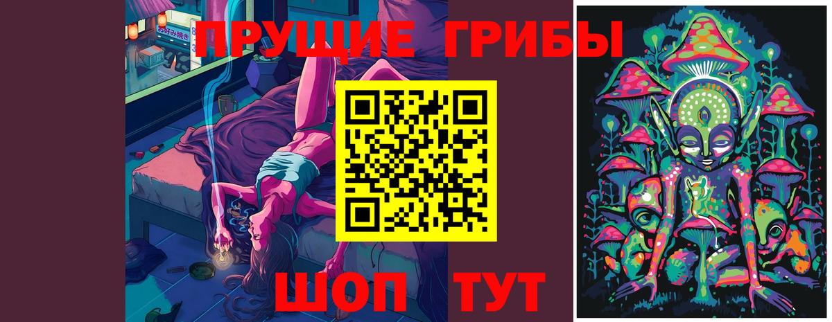 Псилоцибиновые грибы Psilocybe Абакан