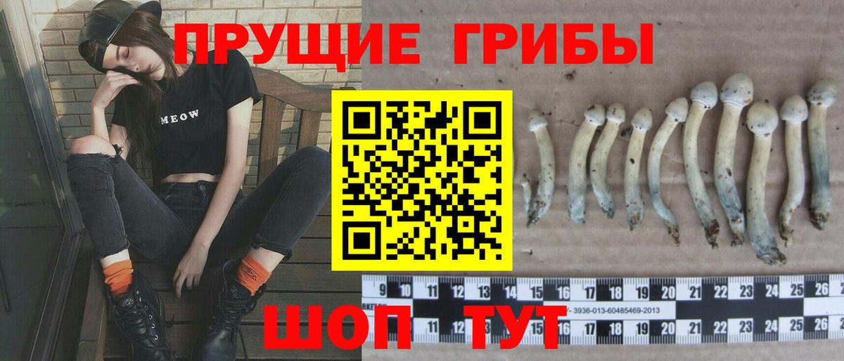 Галлюциногенные грибы Cubensis  Абакан 