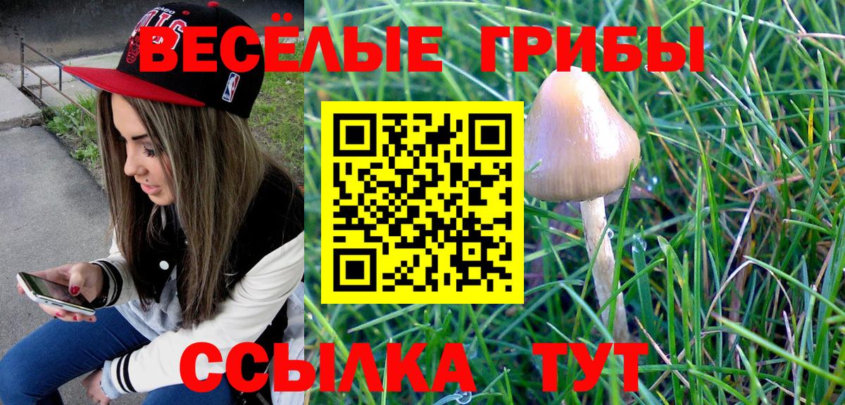 Псилоцибиновые грибы мицелий  Галлюциногенные грибы прущие грибы  Абакан  Вход с VPN 