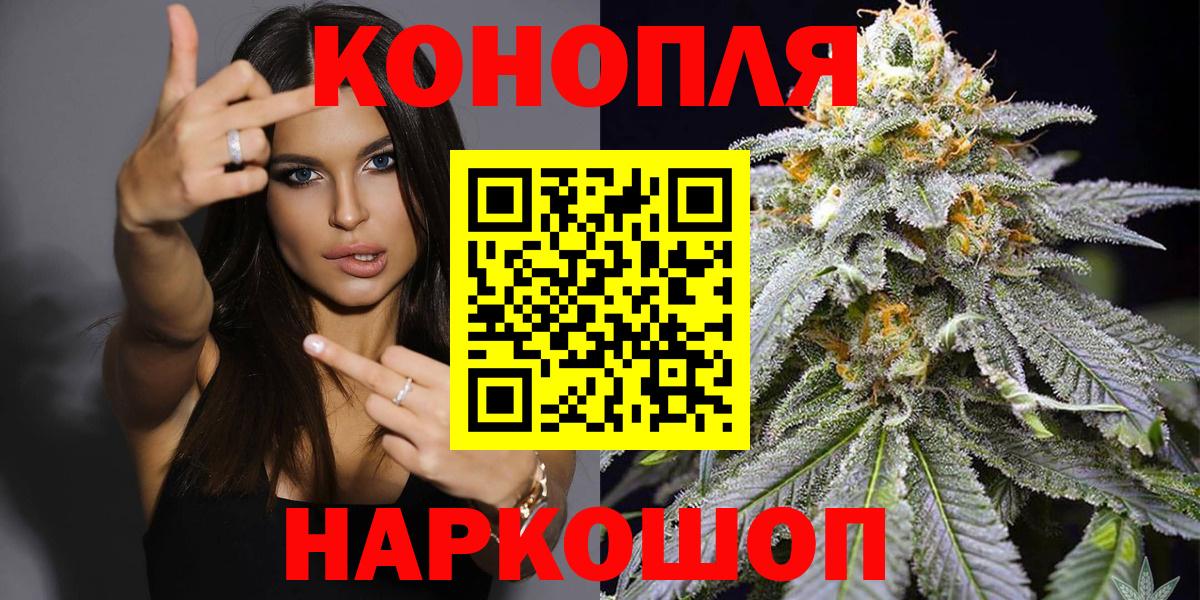 Каннабис сатива Абакан